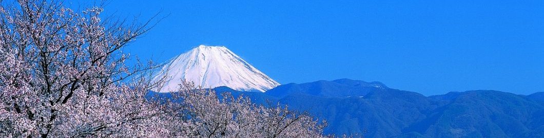 甲府地区広域行政事務組合消防本部トップバナー